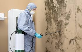 Best HVAC Mold Inspection and Cleaning in Hampton Manor, NY